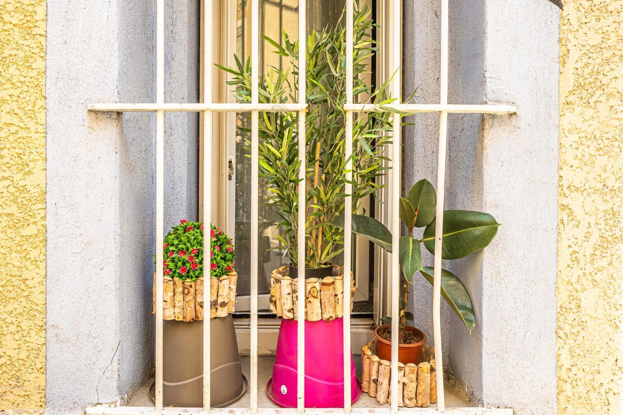 Le Cocon Urbain Apartment Narbonne Bagian luar foto
